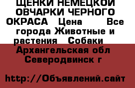 ЩЕНКИ НЕМЕЦКОЙ ОВЧАРКИ ЧЕРНОГО ОКРАСА › Цена ­ 1 - Все города Животные и растения » Собаки   . Архангельская обл.,Северодвинск г.